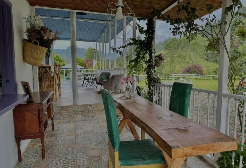 فندق Valle Los Amores