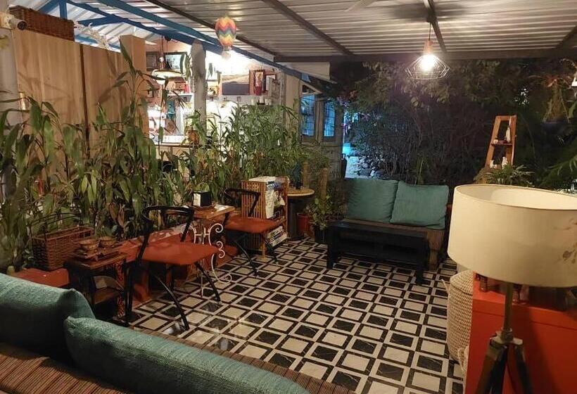 酒店 Wilderness Jungle Camp