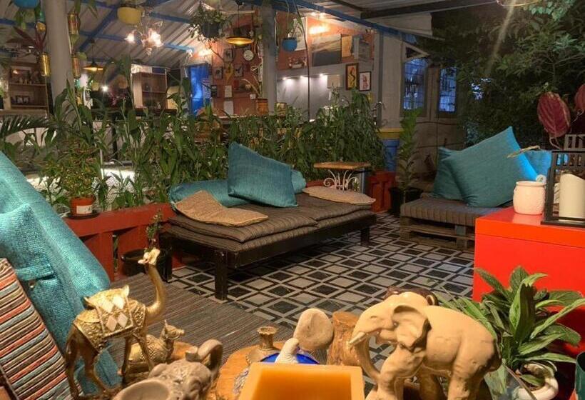 酒店 Wilderness Jungle Camp