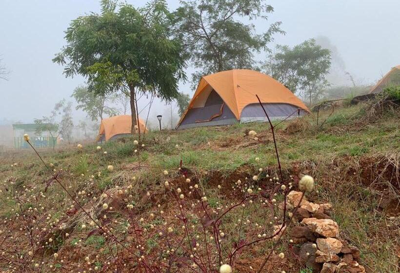 酒店 Wilderness Jungle Camp