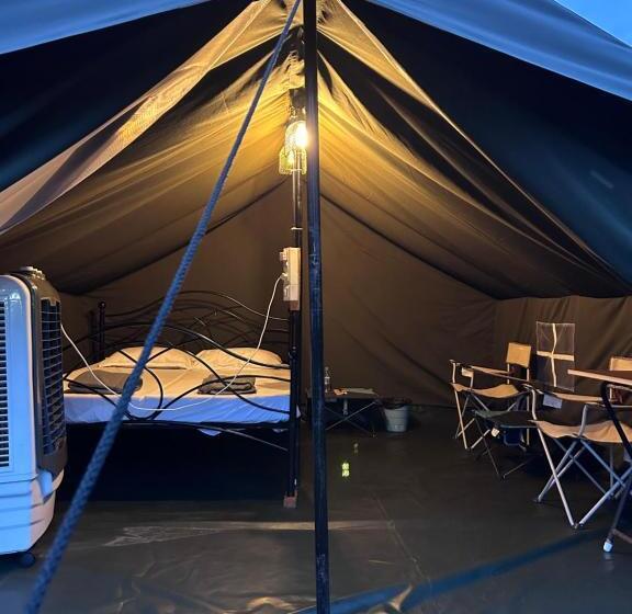 酒店 Wilderness Jungle Camp