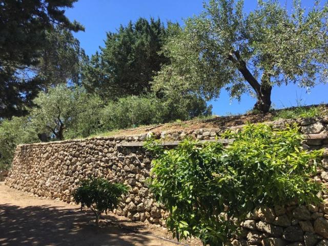 پانسیون Logement Provence Dans Domaine Oléicole
