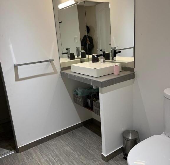 פנסיון Logement Provence Dans Domaine Oléicole