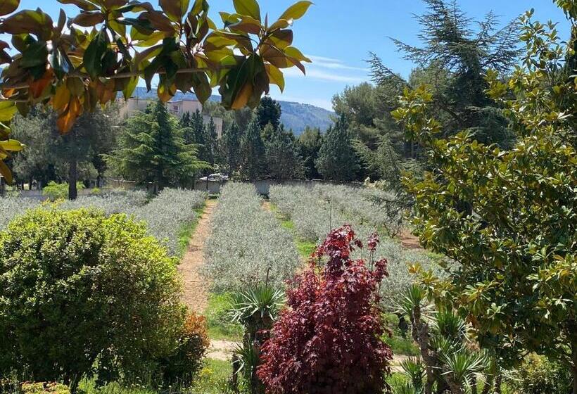 پانسیون Logement Provence Dans Domaine Oléicole