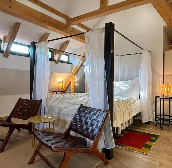 Boutique Hotel Barvirna