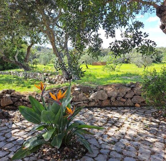 פנסיון Deluxe Room Santa Barbara De Nexe