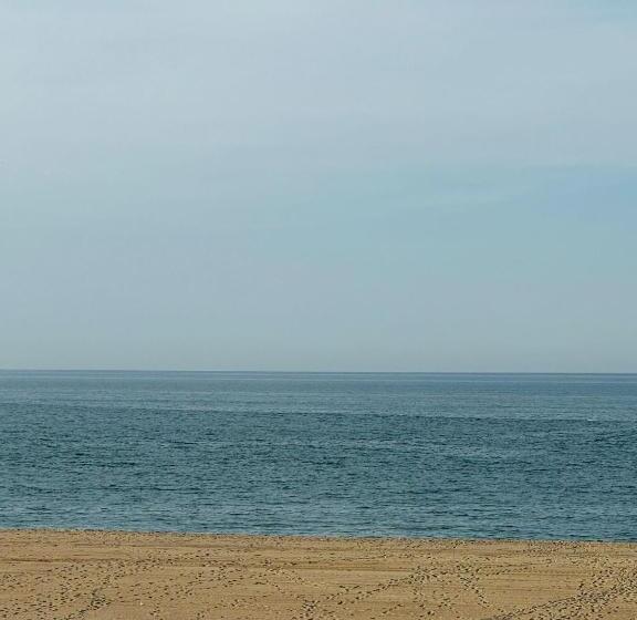 فندق İstanbul Airport Black Sea