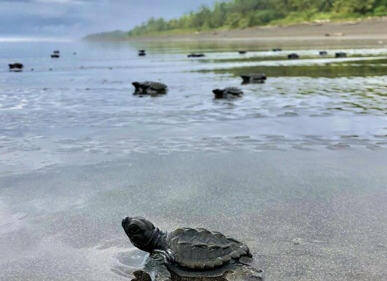 پانسیون Bahía Paisa