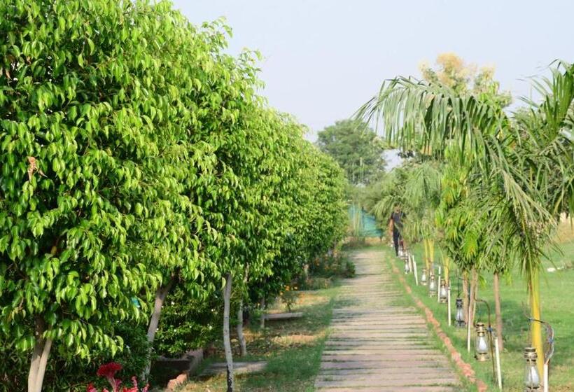 منتجع Jungle Enclave   Ranthambore