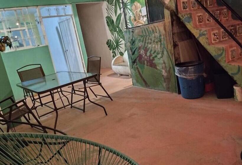 پانسیون Anamaya Hostal
