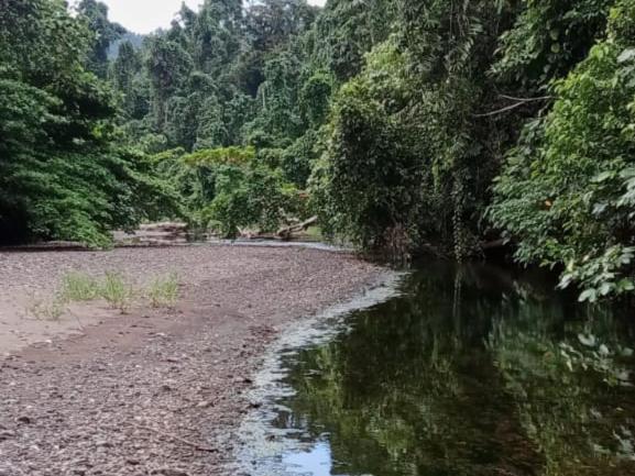 پانسیون Risen Raja Ampat