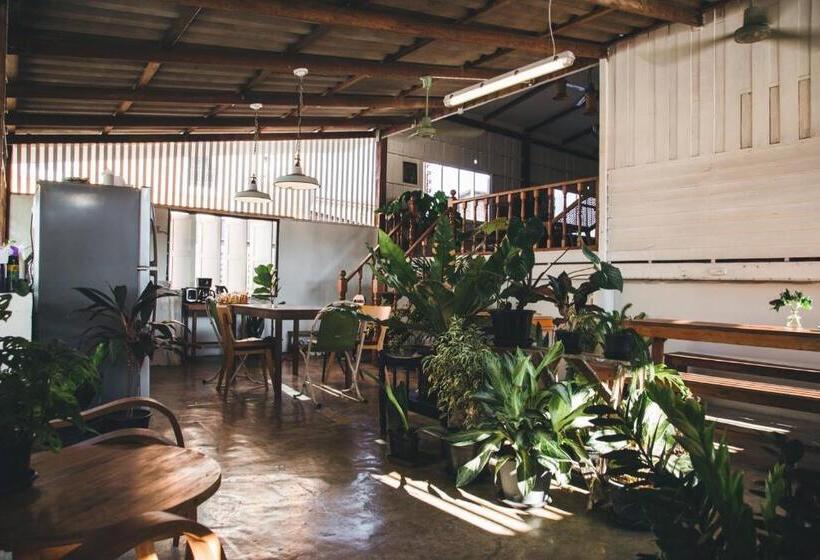 تختخواب و صبحانه เผลอสุขใจ Cafe And Bad   Plursukjai