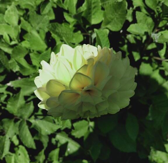 تختخواب و صبحانه Rectoria Nova