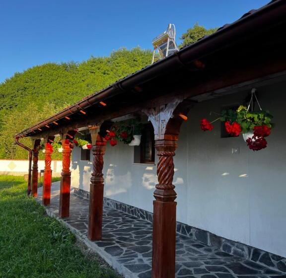 פנסיון Casa Guriță