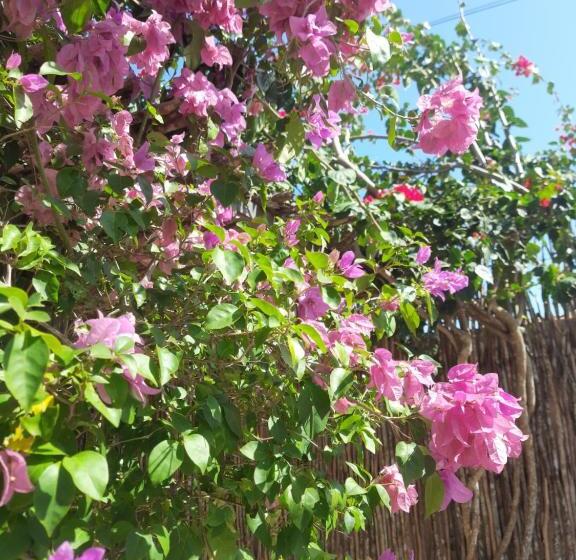 הוסטל The Jungle, Village & Beach