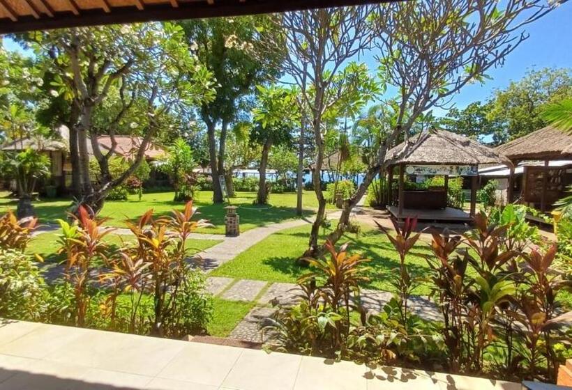 Отель The Beach Bungalows & Turtle Sanctuary