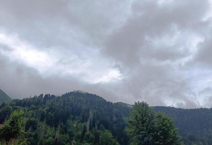مبيت وإفطار Ayder Petek Apart Otel