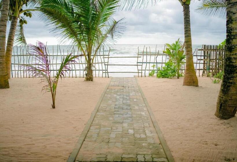 ベッドアンドブレックファースト Silver Sands Beach