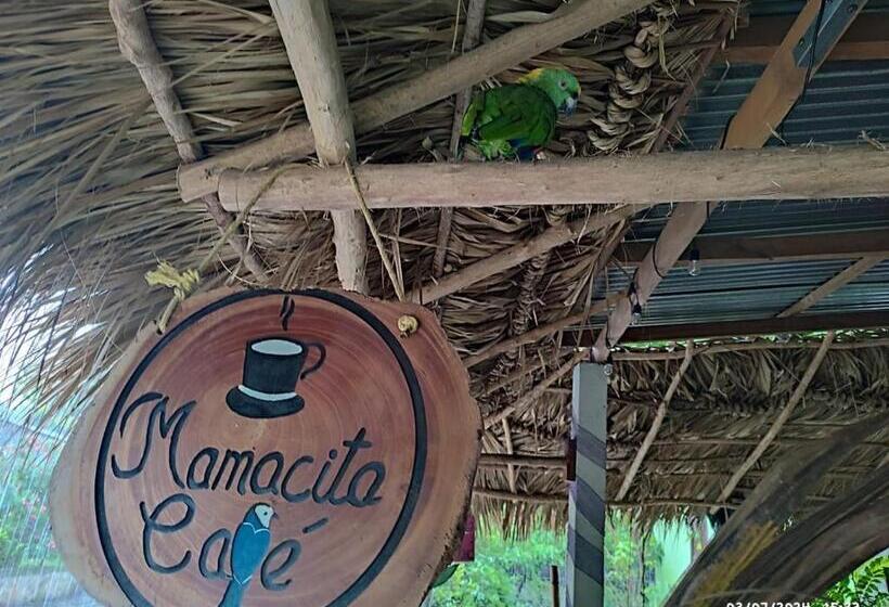 هتل کپسول Mamacita Cafe House