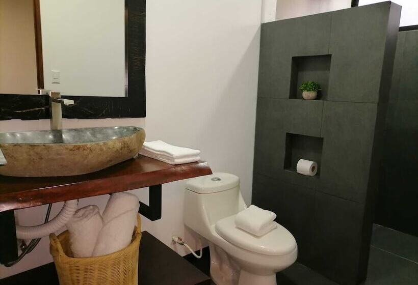 فنادق الكبسولة Scala Inn