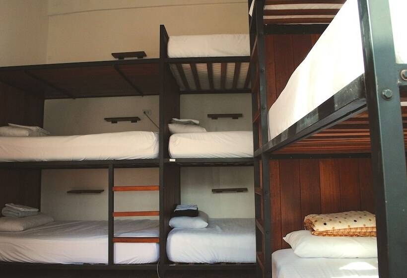 تختخواب و صبحانه Nomad Hostel