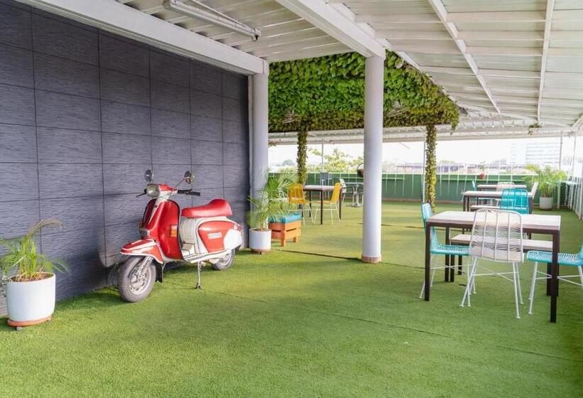 هتل Plataneras Plaza