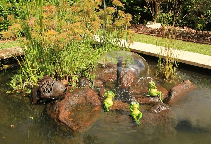 Seasons Of Maleny B&b