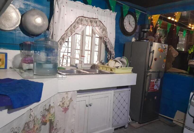 فندق صغير Hostal Cafe Axel