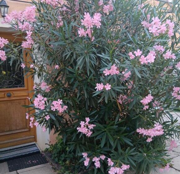 צימר Chambre D Hôtes, à La Nuitée
