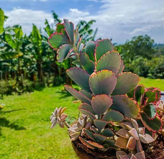 هتل El Paraiso Campestre