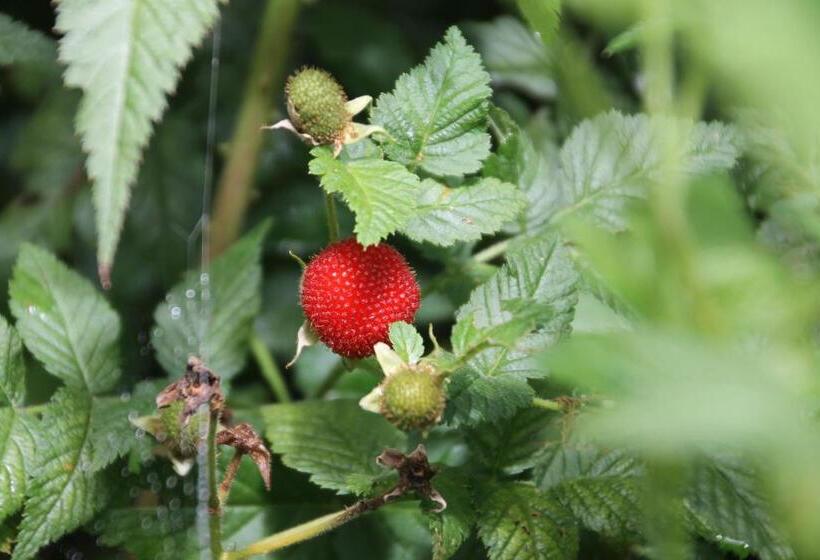 هتل Finca Sumak Kawsay Ncc