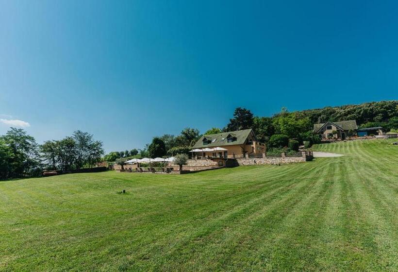 פנסיון Amannsberger Wineyardlodge