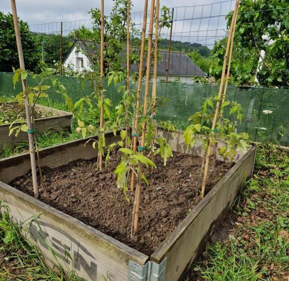 膳宿费 La Moutonne Des Landes De Lanvaux