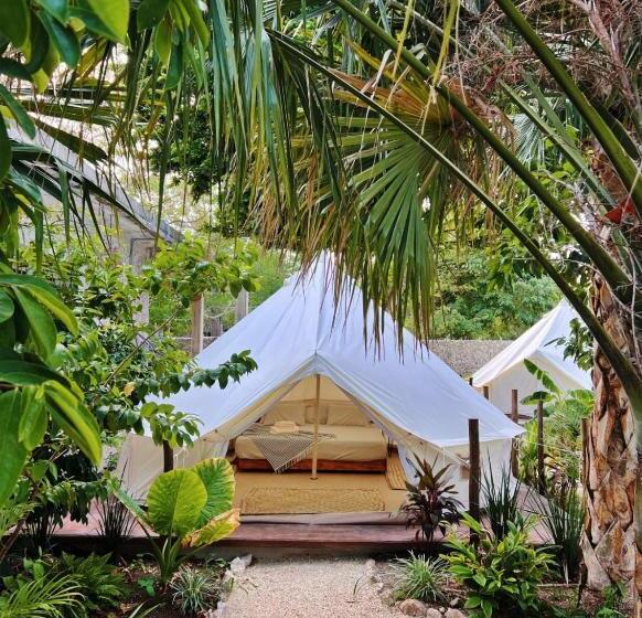 هتل Shamalay   Nomad Experience