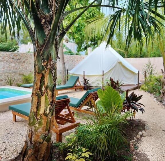 هتل Shamalay   Nomad Experience