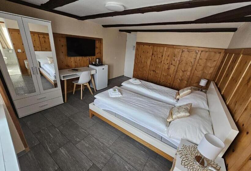 בית מלון כפרי Surselva