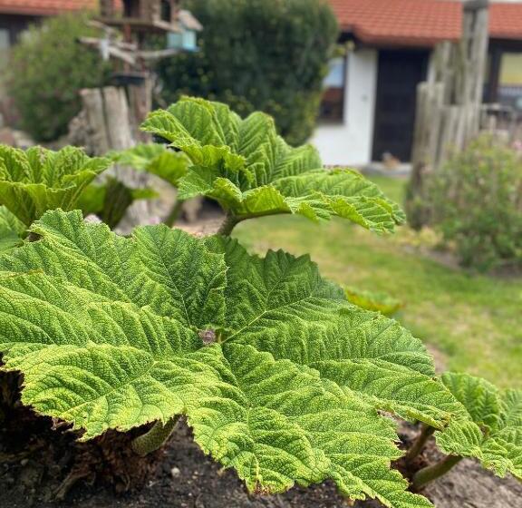 فندق Urlaub Unterm Storchennest Im Ostseeland Rerik