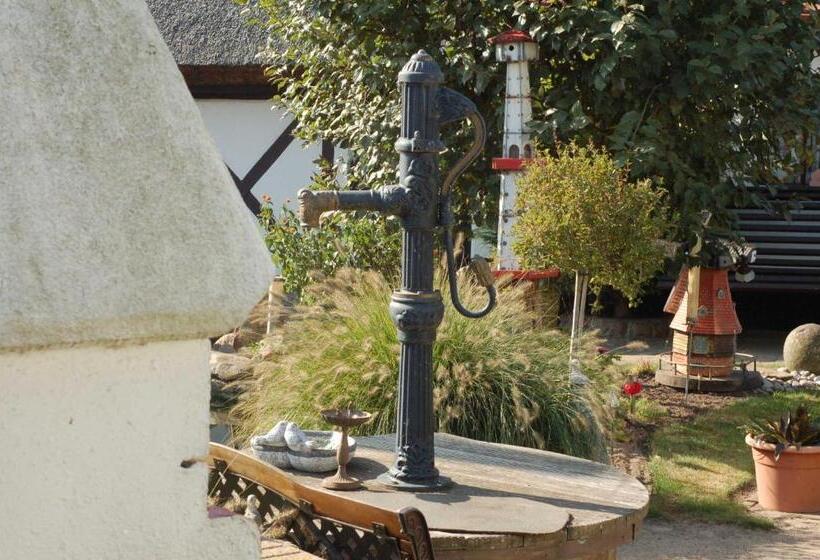 فندق Urlaub Unterm Storchennest Im Ostseeland Rerik