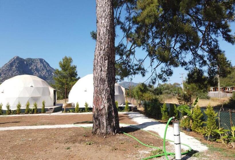 هتل Dream Dome Suite Adrasan