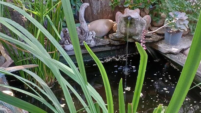 پانسیون Villa Benvengudo