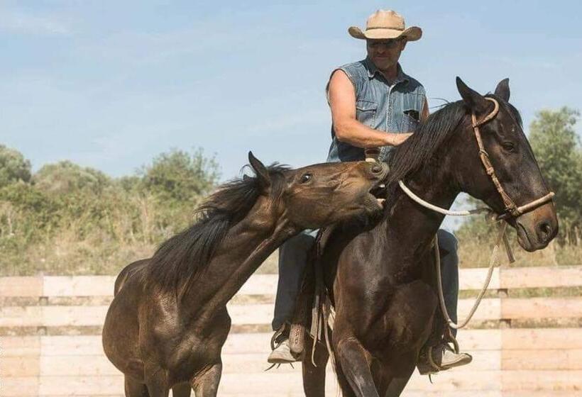 펜션 Red Cedar Ranch