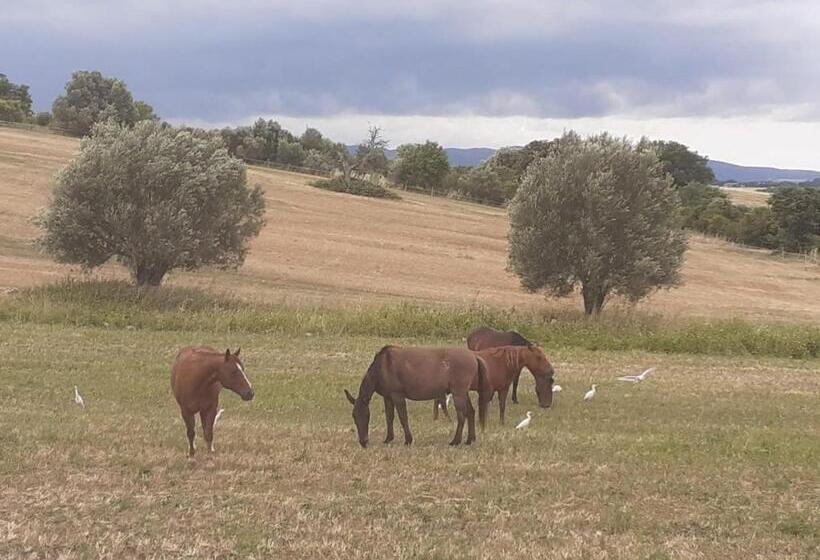 펜션 Red Cedar Ranch
