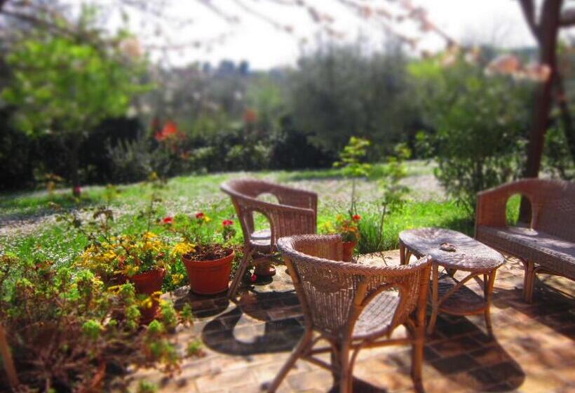 B&b Viadelcampo