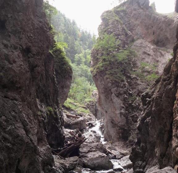 בית מלון כפרי Binterhof Familie Mosser