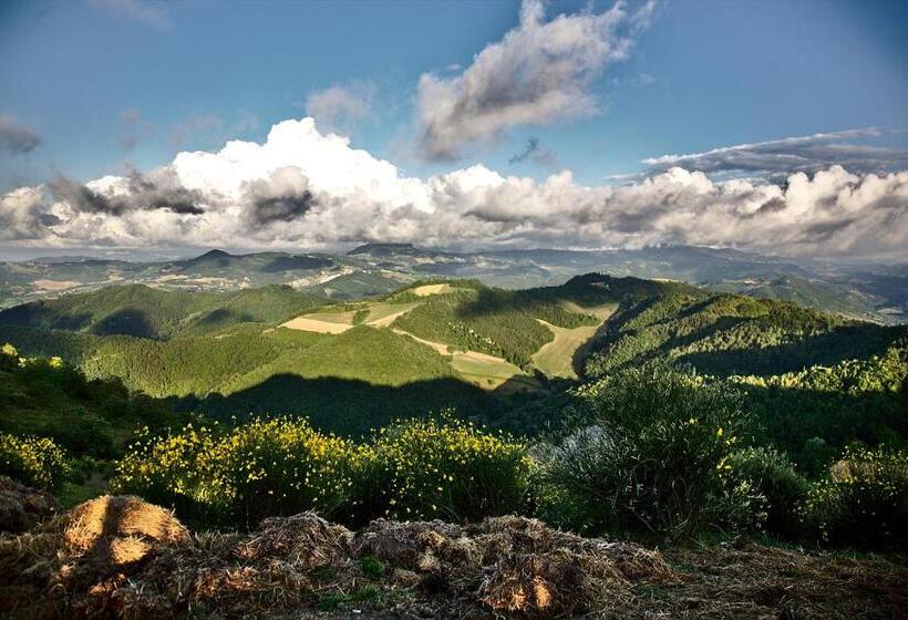 فندق Ca Ciuchina  Colazione Inclusa