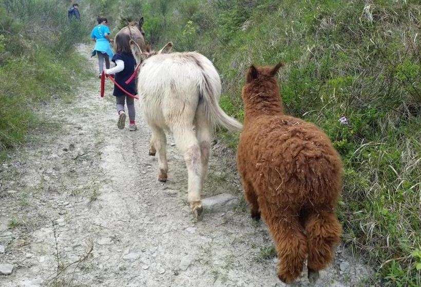 فندق Ca Ciuchina  Colazione Inclusa