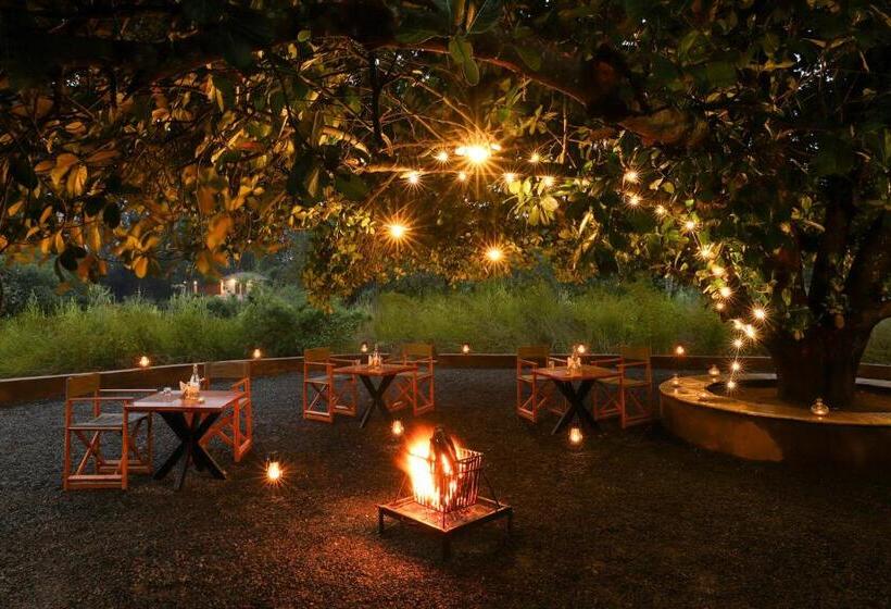 ホテル Lemon Tree Wildlife Resort, Kanha