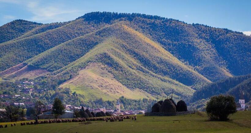 ペンション Picturesque Village In Transylvania