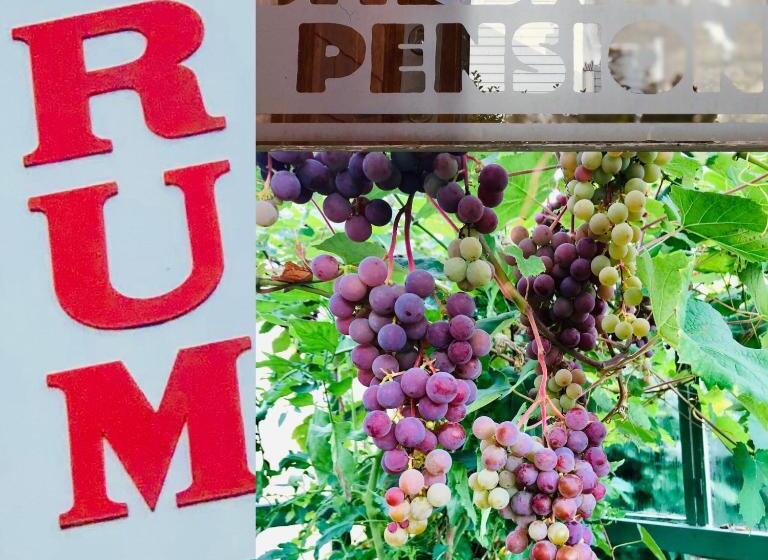 Smedjebackens Pensionat