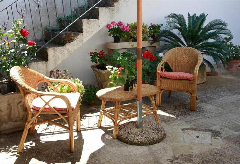 Spiti Bed & Breakfast